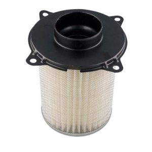 Filtro de Aire Hiflofiltro HFA3803 VZ800 MARAUDER