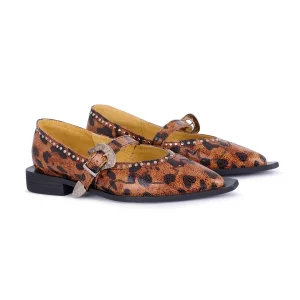 Jornada Flats cheetah